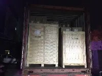 اسکنر اشعه ایکس اتوماتیک چمدان و فلزیاب GS به کامرون ارسال شد